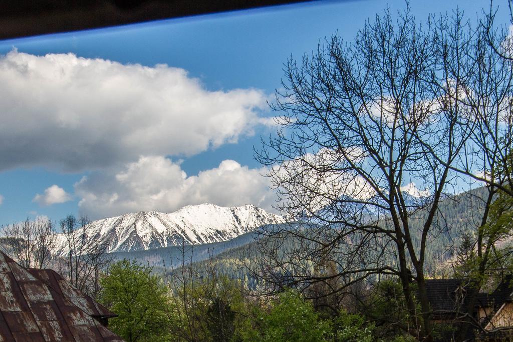 Apartament Owcze Runo Zakopane Esterno foto